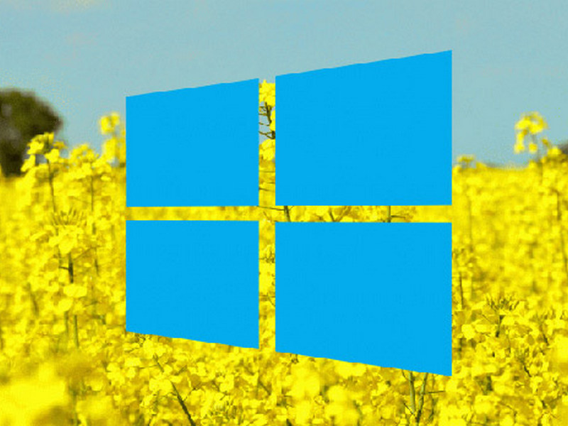 Выяснились сроки выпуска крупного обновления Windows 10
