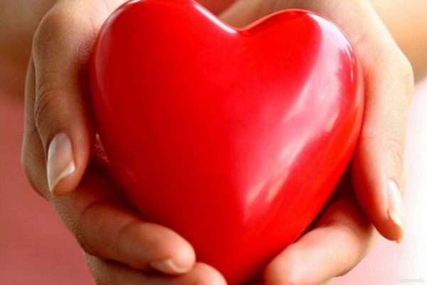 Сердечная диета: какие продукты полезны сердечно-сосудистой системе