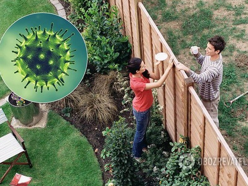 Врач рассказал, можно ли заразиться коронавирусом от соседа, разговаривая через забор