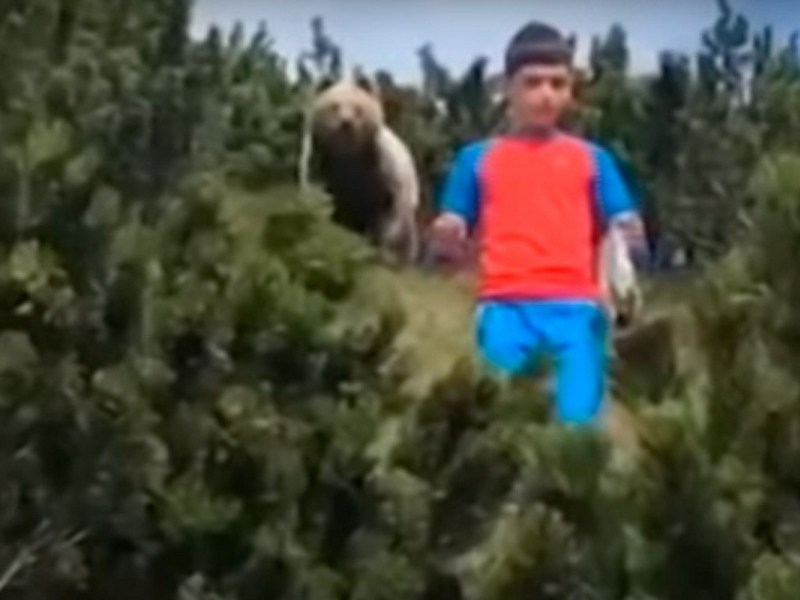 В Италии 12-летний мальчик едва не попался в лапы огромного медведя (ВИДЕО)