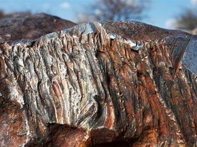 Ученые: Тунгусский метеорит мог улететь обратно в космос