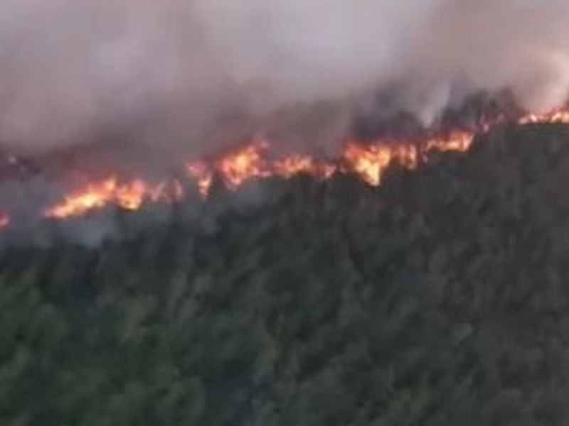 В РФ вспыхнул мощный лесной пожар (ВИДЕО)