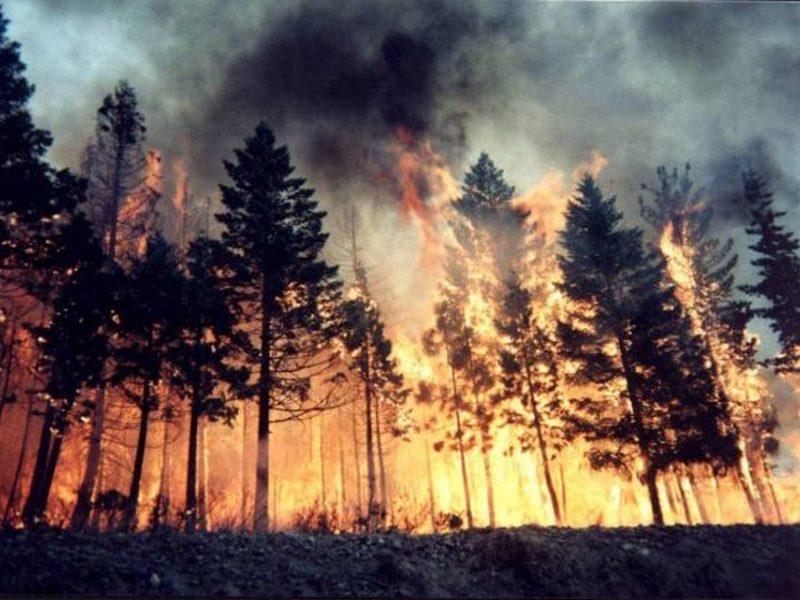 Дальний Восток России снова охвачен лесными пожарами