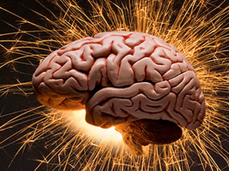 В деятельности мозга нашли ранее неизвестный феномен