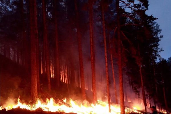 В России тушат 136 лесных пожаров площадью 43 тысячи гектаров