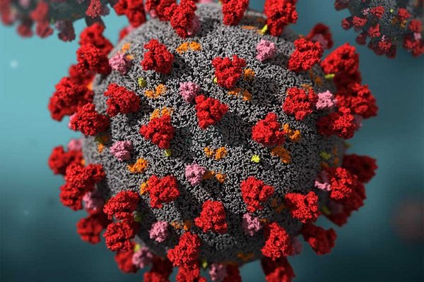 Ученые раскрыли основную причину смерти от коронавируса