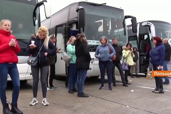 Польша хочет изменить правила для украинских заробитчан