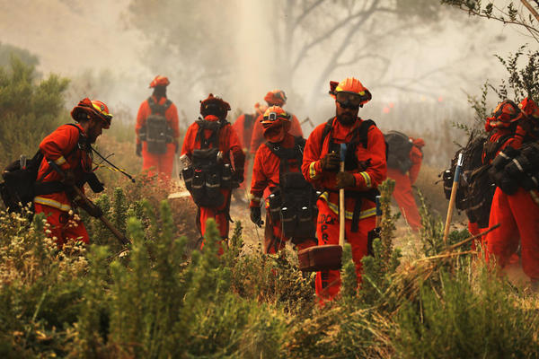 В Калифорнии из-за лесного пожара эвакуировали около 8000 человек