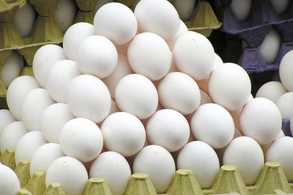 В Украине продолжает сокращаться производство яиц
