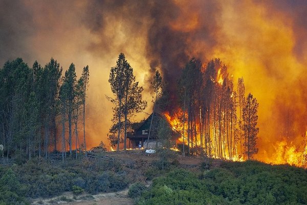 В Украине запретили заезжать в лес на авто: объявлена чрезвычайная пожарная опасность