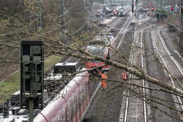 Deutsche Bahn будет следить за деревьями с помощью спутников